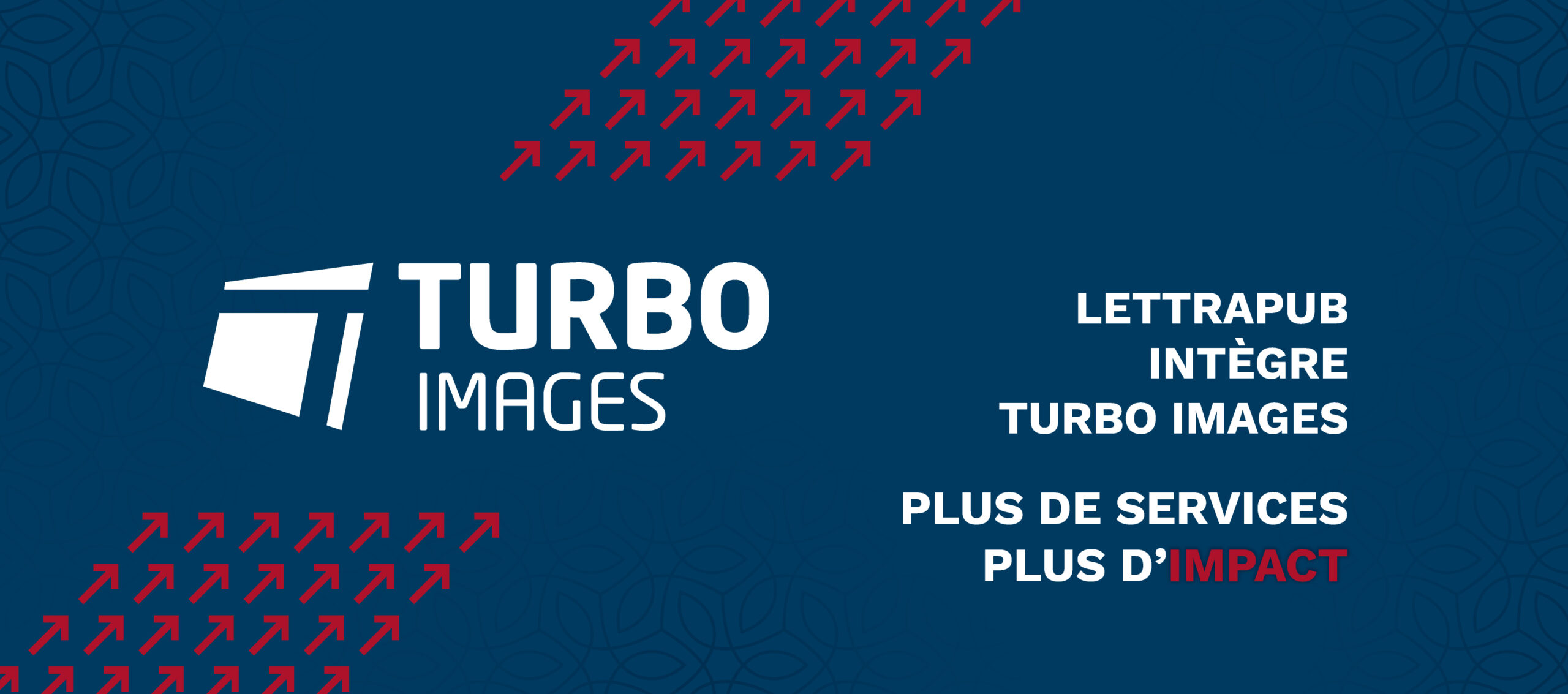 tommy project lettrapub facebook banner 820 x 363